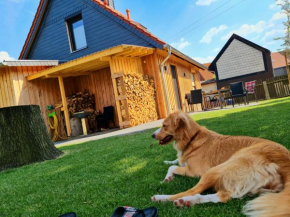 Ferienhaus Darlingerode Darlingerode